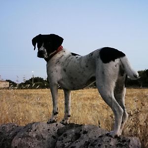 Affittacamere Mauto